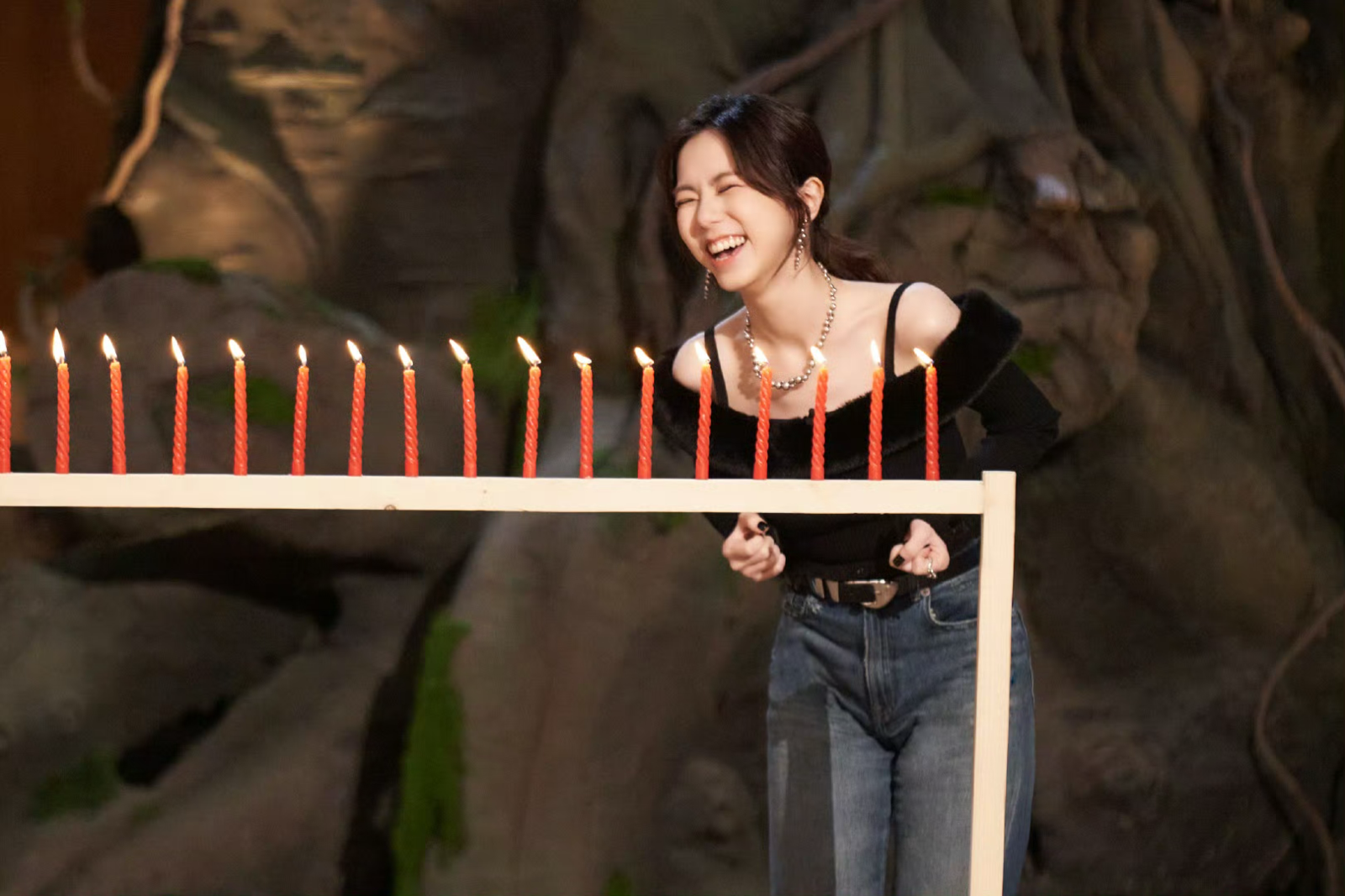 serv00和ct8主机一键安装哪吒探针V1版本